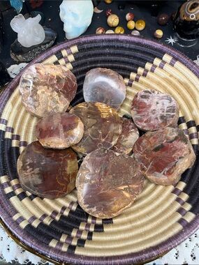 Live listing for (1) petrified wood round slabs